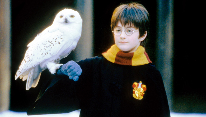 #LosJuevesAlSol: Harry Potter