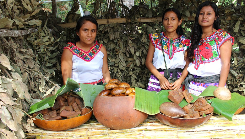 Ayuujk: Mujeres indígenas y la vitalidad de las lenguas
