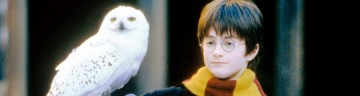 #LosJuevesAlSol: Harry Potter