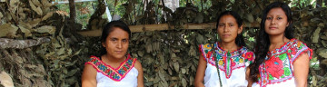 Ayuujk: Mujeres indígenas y la vitalidad de las lenguas