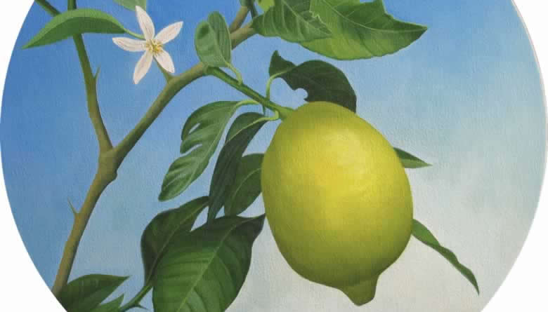 Limonero, óleo sobre lienzo, 50 cm de diámetro, 2015.