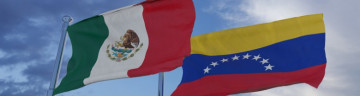 La política exterior de México ante la crisis venezolana: entre principios e intereses 